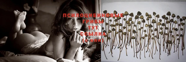ешки Абаза