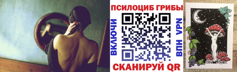 Псилоцибиновые грибы GOLDEN TEACHER  ОМГ ОМГ маркетплейс  Новокузнецк  как найти закладки 