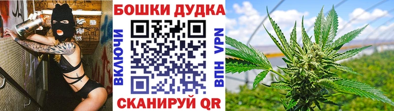 Бошки марихуана индика  Новокузнецк 
